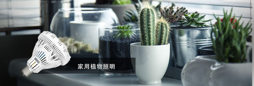 3200威尼斯vip·植物照明